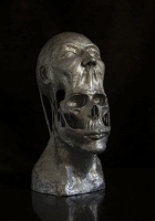 ”Memento mori” Alumiini. Koko n. 45 x 22 cm. 2021