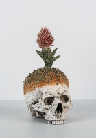 ”Nimetön kukkakallo” Keramiikka. Koko n. 30 x 18 cm. 2023